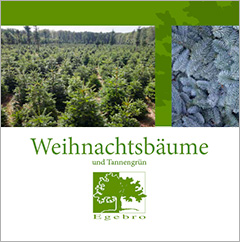 Weihnachtsbäume und Tannengruün - Egebro, Dänemark